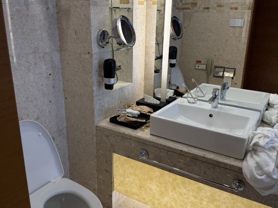 佛山恆安瑞士大酒店優惠