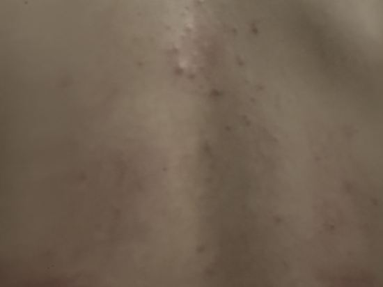 深圳福朋喜來登酒店優惠