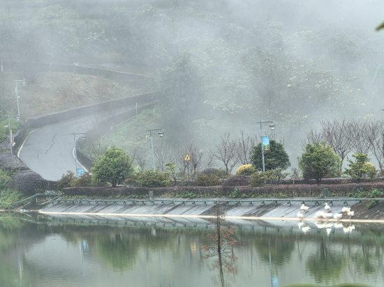 新興翔順象窩飯店優惠