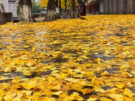 北京龍城瑞豪飯店（良鄉南關地鐵站店）優惠