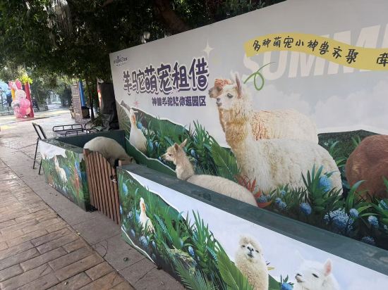 廈門靈玲大飯店優惠