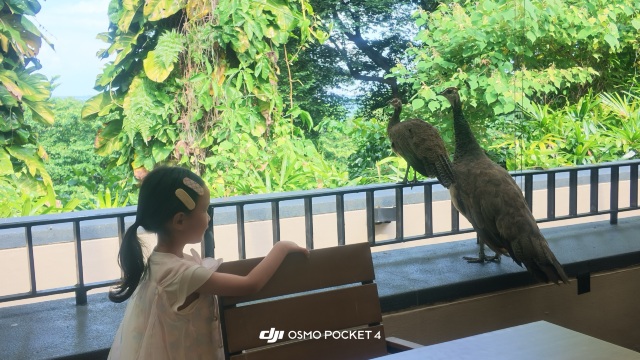 review picture