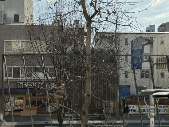 京都糸屋ホテル クーポン