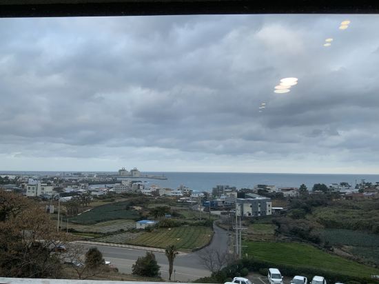 샐리스제주 쿠폰