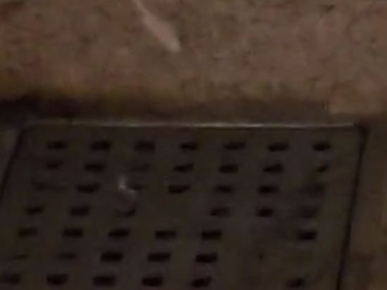 花蓮統茂渡假莊園優惠