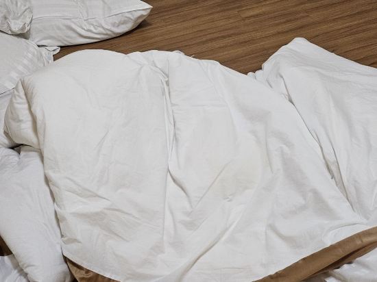 비발디 파크 쿠폰