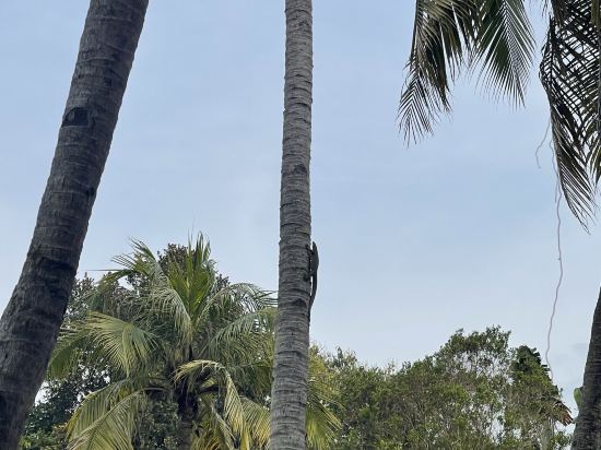 登嘉樓丹絨佳拉月之影度假村- 全球奢華精品酒店優惠