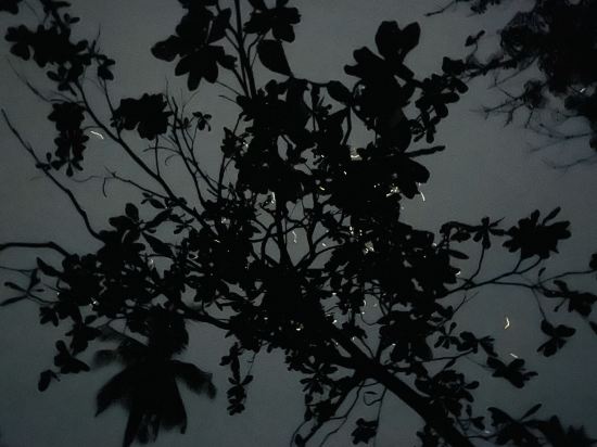 薄荷島阿米汗度假村優惠