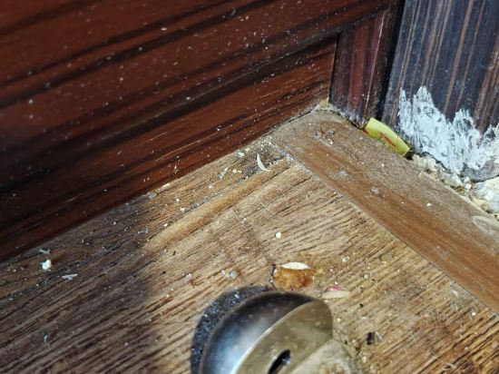 金越南飯店優惠