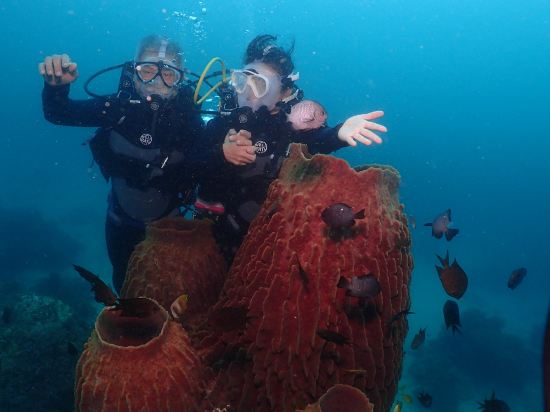 費拉飯店和花園套房優惠