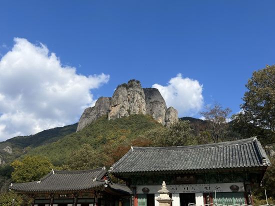 소노벨 청송 쿠폰