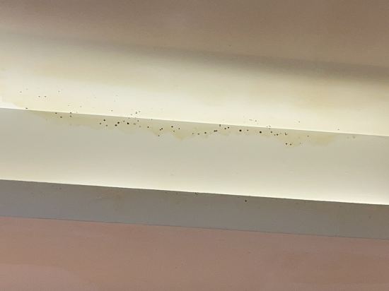 鉑爾登酒店國際店（南山深圳灣店）優惠