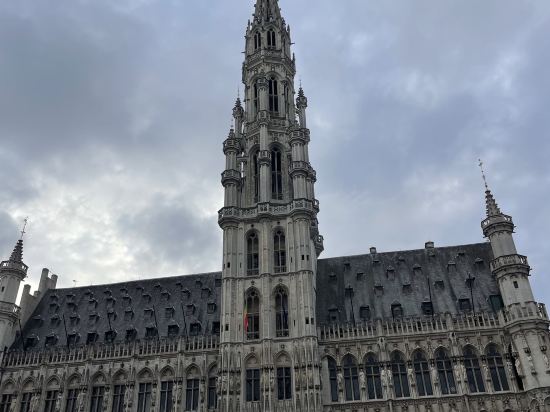 布魯塞爾中央枕頭市酒店優惠