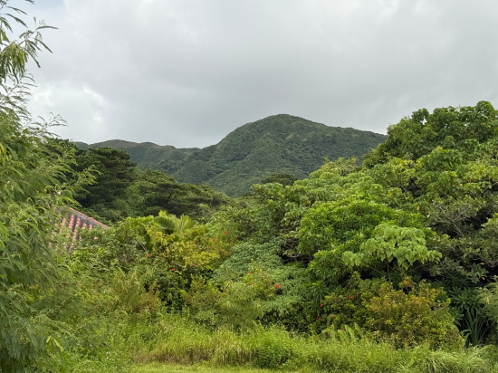 西表島ジャングルホテルパイヌマヤ クーポン