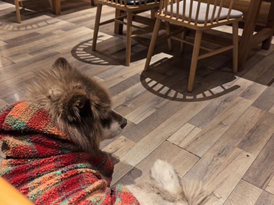 瀘沽湖晏坐湖景清奢民宿（大落水村店）優惠