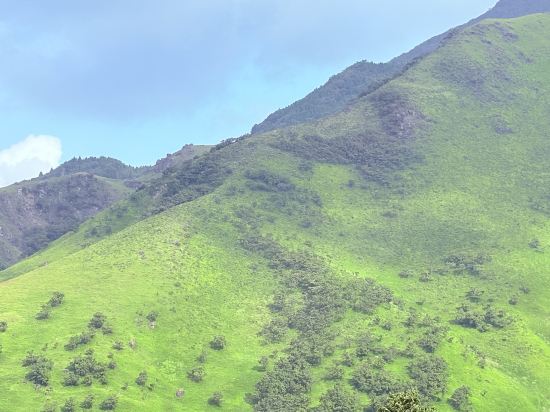 阿蘇大飯店優惠