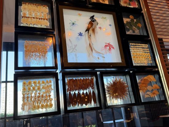 廈門華爾道夫飯店優惠