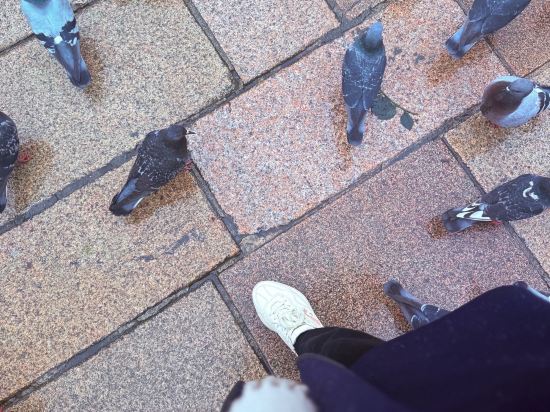 巴洛尼迪薩西大酒店優惠