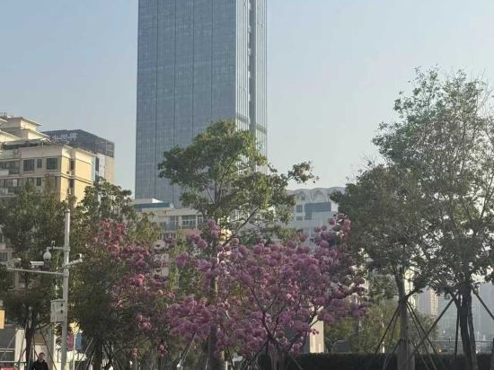 深圳大學南山科技園芮汐酒店優惠