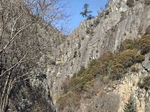 新加坡京華酒店 （Staycation Approved）優惠