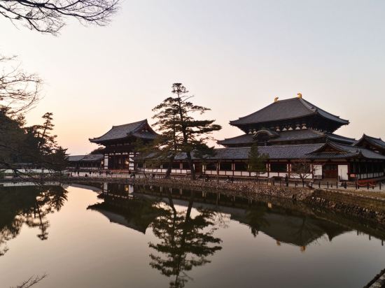 奈良県外国人観光客交流館 (奈良県猿沢イン) クーポン