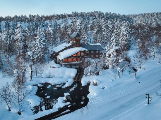 ラビスタ大雪山 クーポン