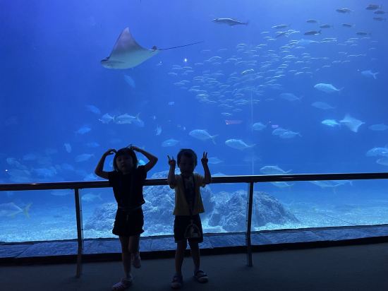 屏東河堤時尚旅店-恆春館優惠