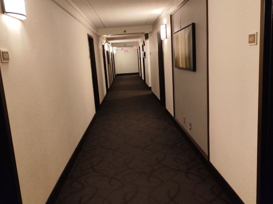 温尼伯機場希爾頓套房酒店優惠