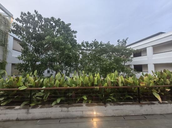 特雷布藏紅花飯店優惠