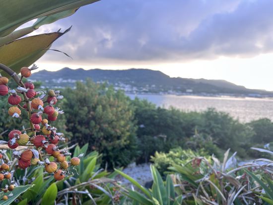 瀬底山水 クーポン