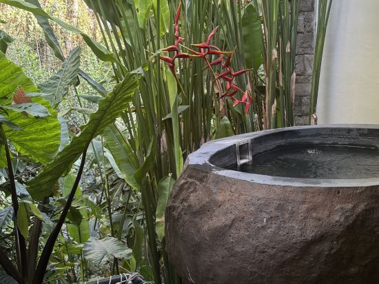 庫塔阿姆納雅酒店優惠