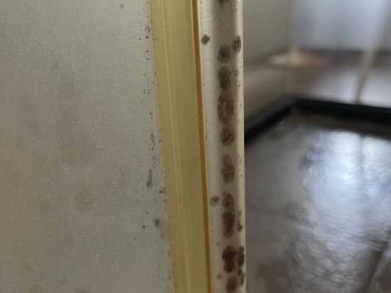 雀客快捷台中福星二館優惠