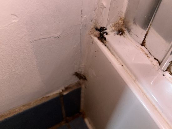 鐘樓格拉斯哥蘇格蘭會展中心酒店優惠