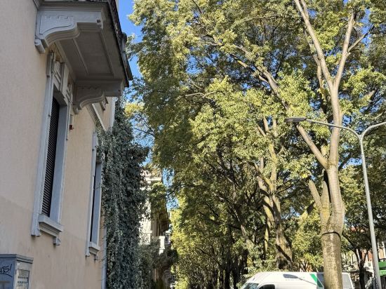 蒙特卡洛飯店優惠