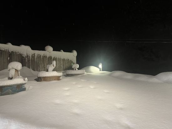 笹倉温泉　龍雲荘 クーポン