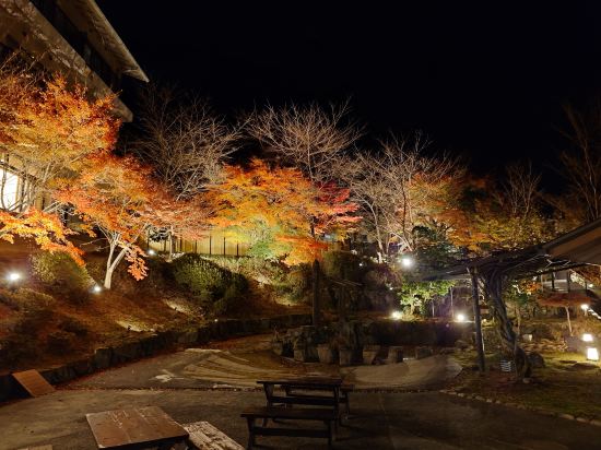 赤目温泉隠れの湯 対泉閣 クーポン