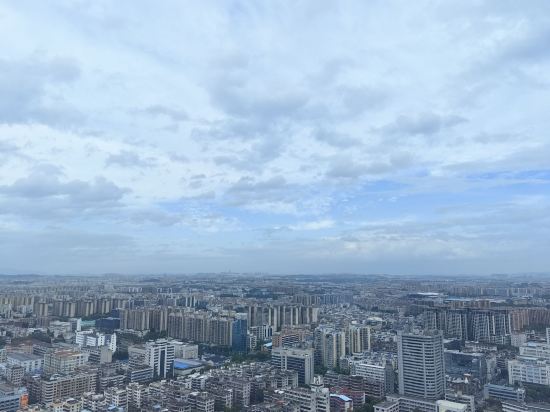 佛山恆安瑞士大酒店優惠