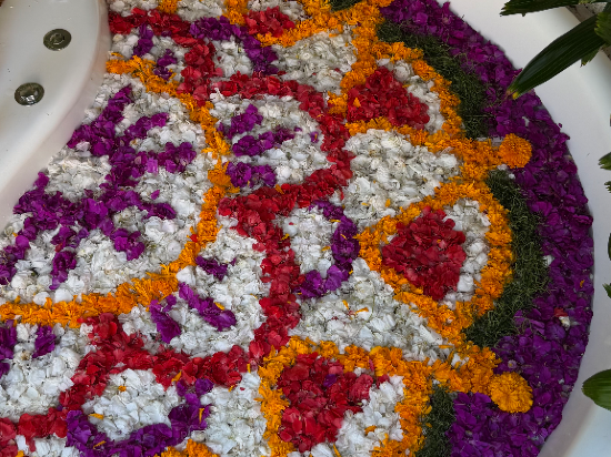 席尼維艾別墅 - 伊妮薇款待別墅優惠