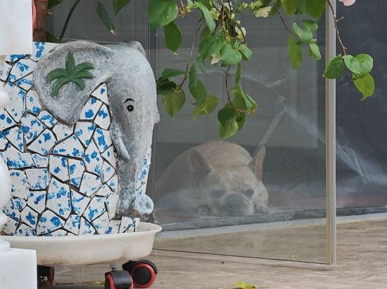 小院河畔民宿優惠