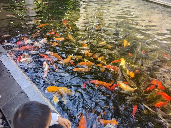 橋頭三正半山飯店優惠