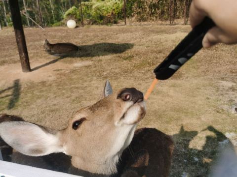 清遠熹樂谷温泉度假酒店優惠