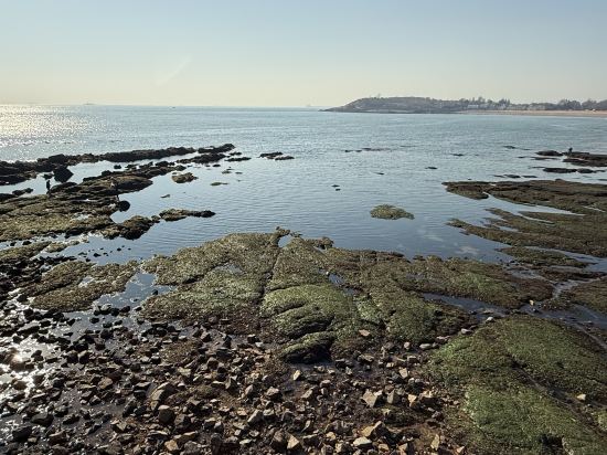 青島海天大酒店優惠