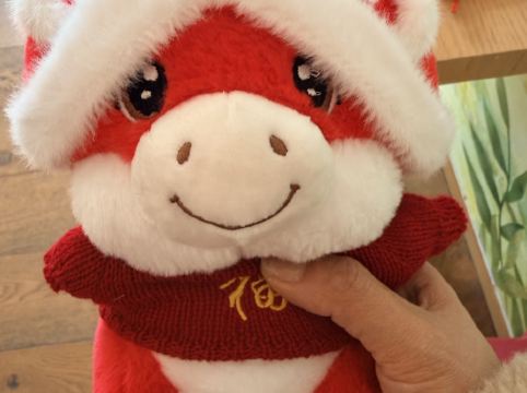 南京紫清湖温泉度假酒店優惠