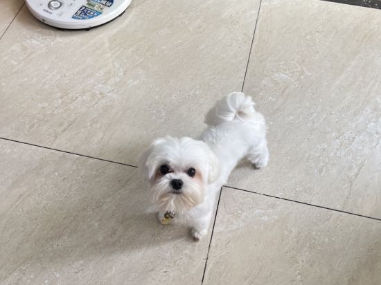 今古安民宿優惠