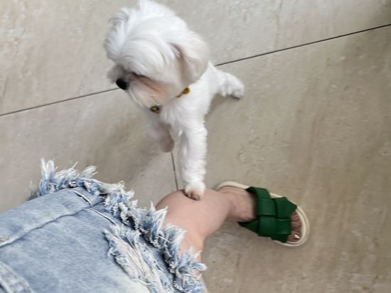 今古安民宿優惠