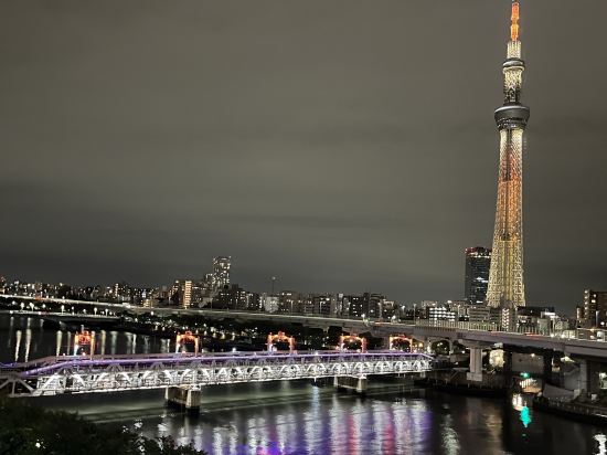 東京淺草多美迎EXPRESS溫泉飯店（多美迎・御宿野乃 飯店集團）優惠
