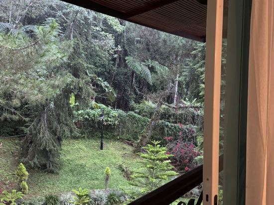 金馬侖高原世紀松園度假村優惠