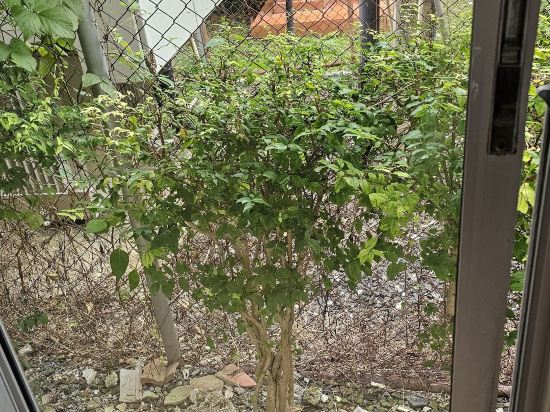 普吉島芭東巴爾米拉度假飯店優惠