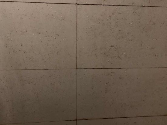 格林豪泰酒店（廣州白雲東平地鐵站店）優惠