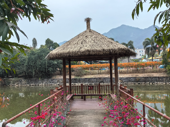 清遠新景泉温泉度假區優惠